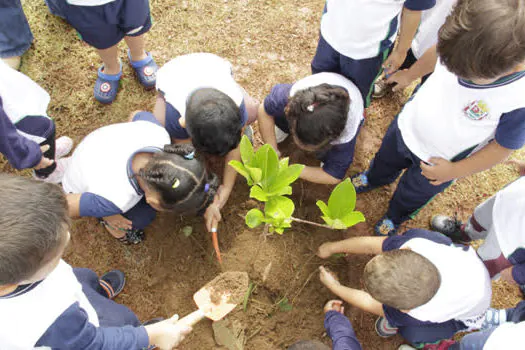 Ribeirão Pires realiza plantio de mudas nativas