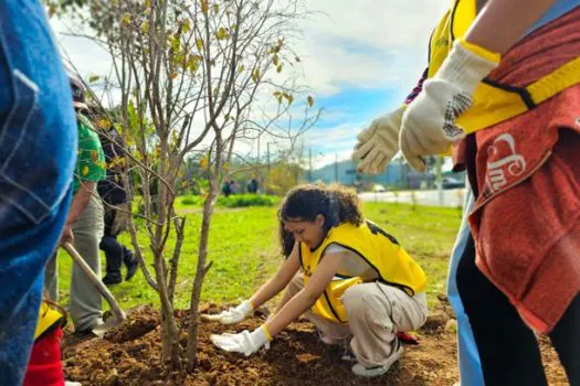 Ribeirão Pires planta 300 árvores no Pomar da Mata Atlântica