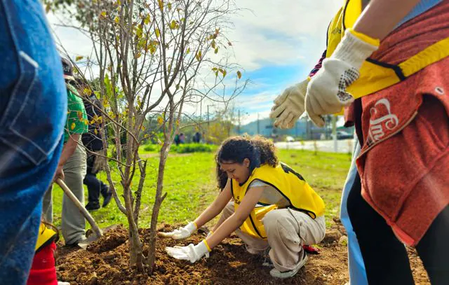 Ribeirão Pires planta 300 árvores no Pomar da Mata Atlântica