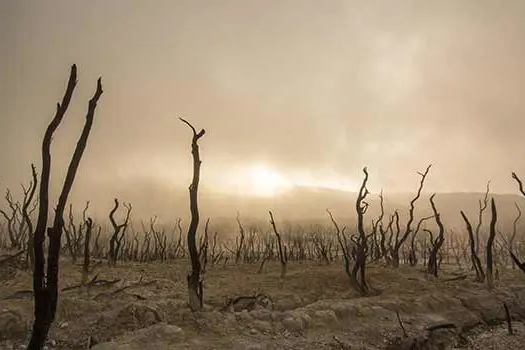 São Paulo passa a fazer parte do Monitor de Seca em dezembro