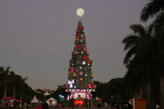 Parque Villa-Lobos, em SP, exibe Árvore de Natal com 52 m de altura