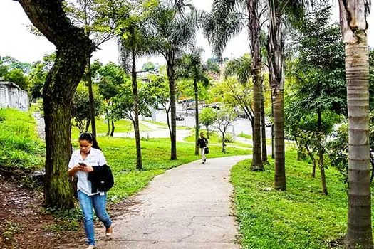 Semasa promove encontro online para falar sobre arborização e bem-estar nas cidades