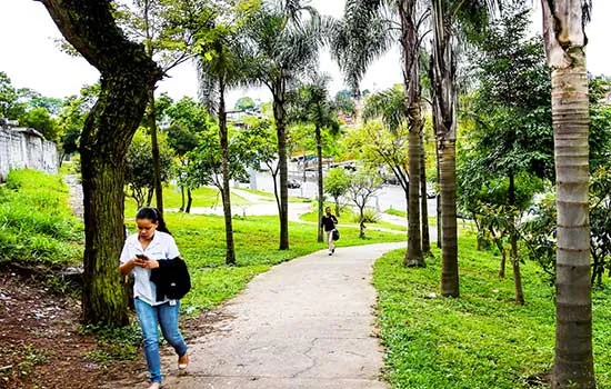 Semasa promove encontro online para falar sobre arborização e bem-estar nas cidades