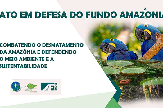 Manifestantes pedem saída de ministro em ato em defesa do Fundo Amazônia, no Rio