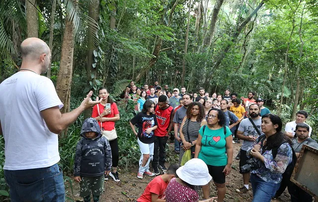 Encontro “Tem Abelha no Meu Jardim” será domingo no Borboletário Diadema