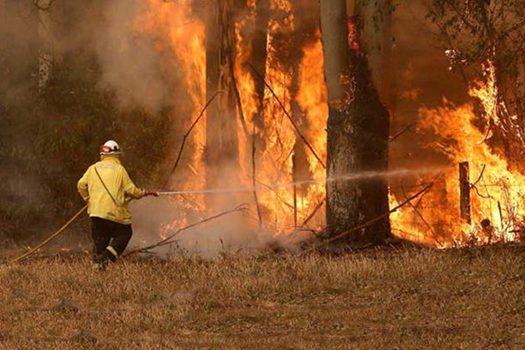 Austrália registra incêndios em vários estados