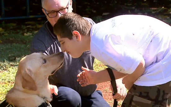 Proposta amplia Lei de acessibilidade para cão-guia de autistas