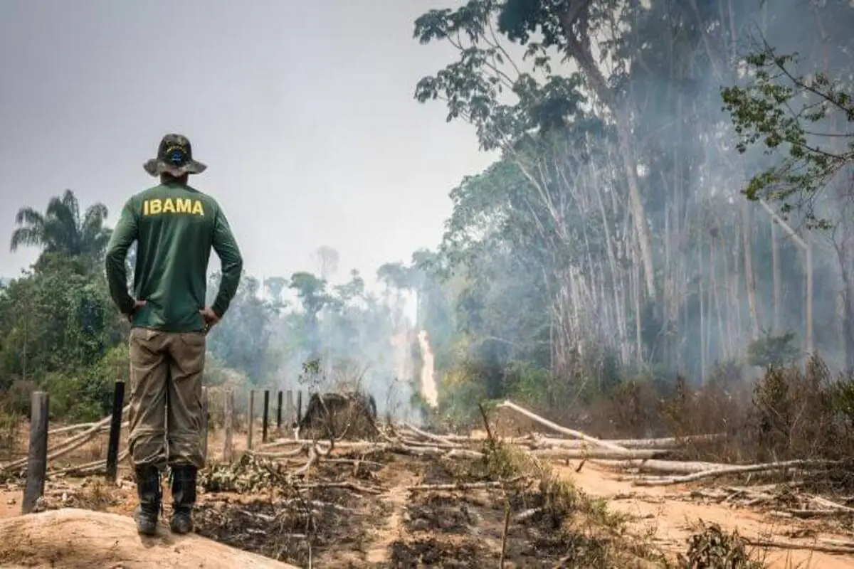 Multa por infração ambiental pode chegar a R$ 5 bilhões para situações de desastre