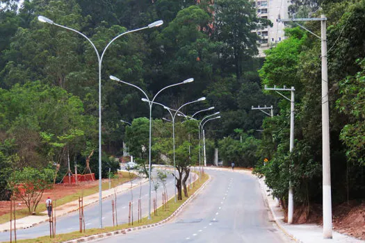 Avenida Hebe Camargo em Paraisópolis será interditada para poda de árvore