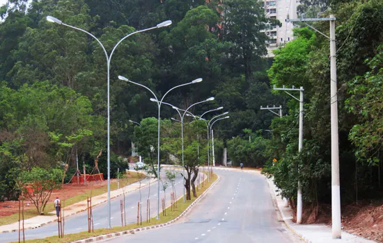 Avenida Hebe Camargo em Paraisópolis será interditada para poda de árvore