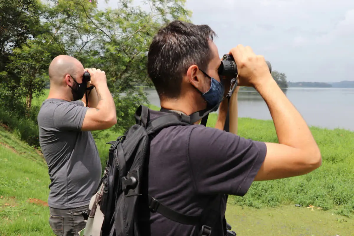 Ribeirão Pires participa do Censo Neotropical de Aves Aquáticas