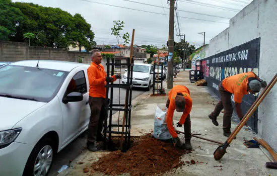 “Bairro Mais Verde” supera o plantio de 300 mudas em Santo André