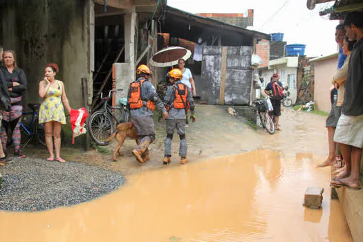 Governo envia 4,6 toneladas de ajuda humanitária a desabrigados da Baixada Santista