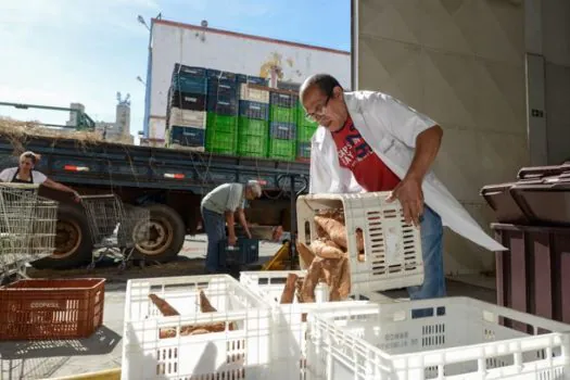 Banco de Alimentos de São Bernardo garante segurança nutricional para famílias vulneráveis