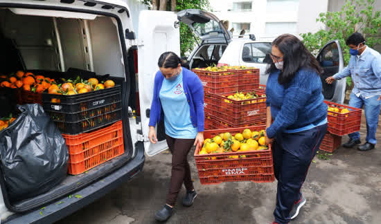 Produtos da agricultura familiar são entregues a atendidos do Banco de Alimentos