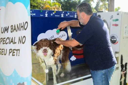 São Bernardo inova com serviço de autoatendimento de banho para pets nos parques