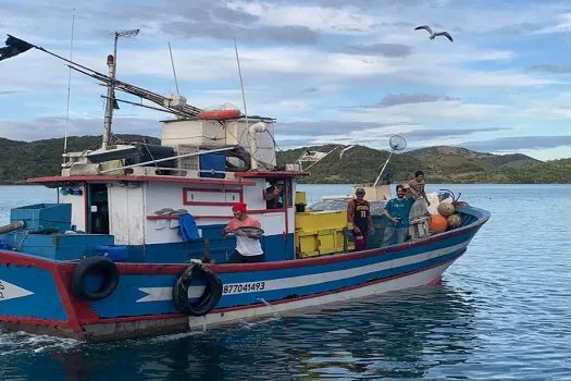 400 aves são registradas por observador de bordo do Projeto Albatroz