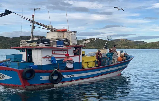 400 aves são registradas por observador de bordo do Projeto Albatroz