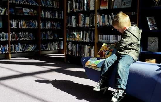 Biblioteca escolar é Lei e deveria ser um recurso básico em qualquer escola