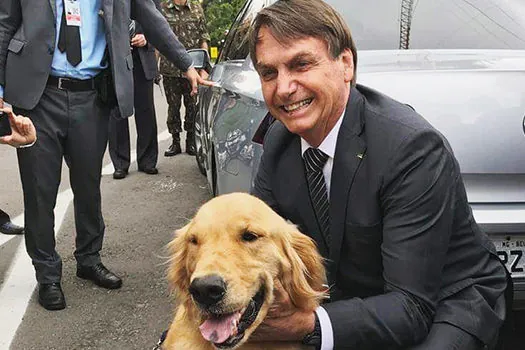 Bolsonaro cria coordenação para cuidar de política pública para cães e gatos