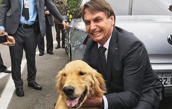 Bolsonaro cria coordenação para cuidar de política pública para cães e gatos