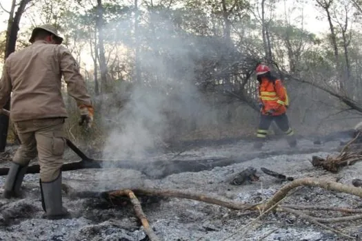 Força Nacional vai ajudar a controlar incêndio no Mato Grosso