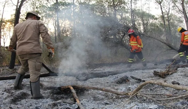 Força Nacional vai ajudar a controlar incêndio no Mato Grosso