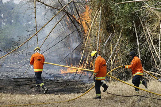 Incêndio atinge parque ecológico em área urbana do Distrito Federal