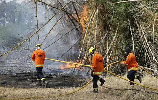 Incêndio atinge parque ecológico em área urbana do Distrito Federal