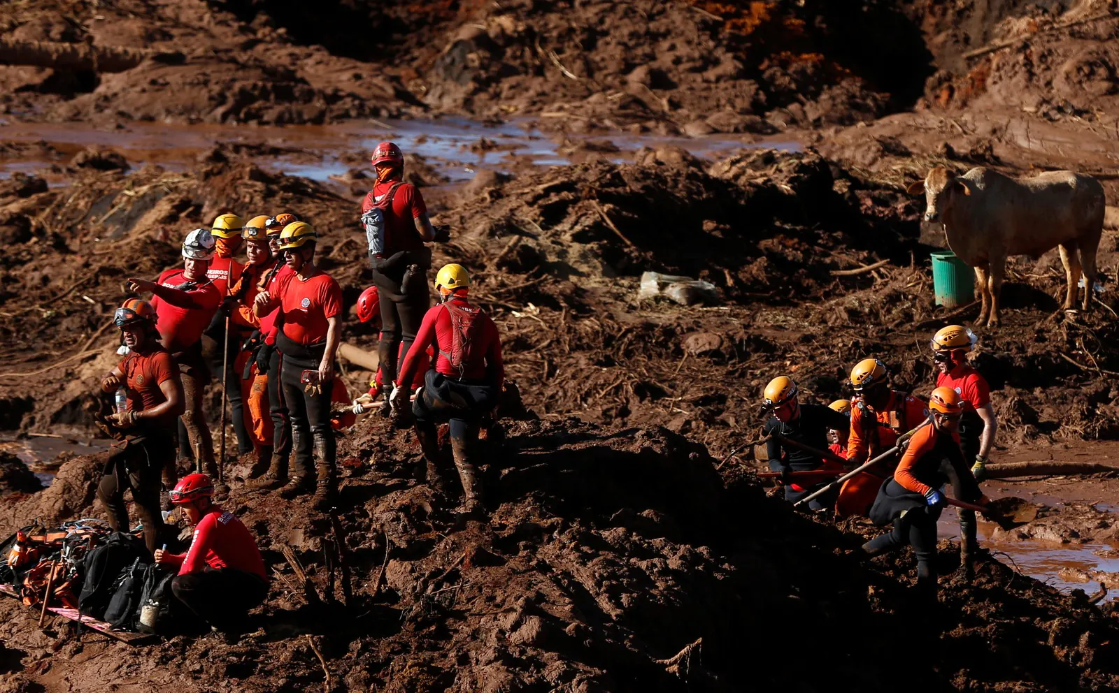 Brumadinho: Investigações devem resultar em denúncia por homicídio