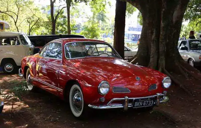 Bosque Old Cars