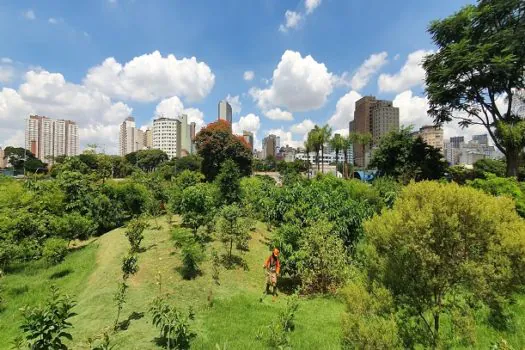 Na semana do Meio Ambiente, programas da Prefeitura de SP priorizam a natureza