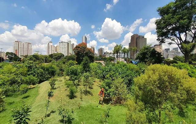 Na semana do Meio Ambiente