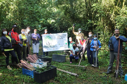 Parque Nascentes de Paranapiacaba ganha Bosque da Memória