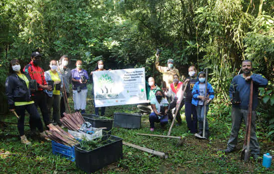 Parque Nascentes de Paranapiacaba ganha Bosque da Memória