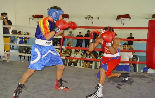 Pelezão recebe estrelas do boxe neste domingo (7)