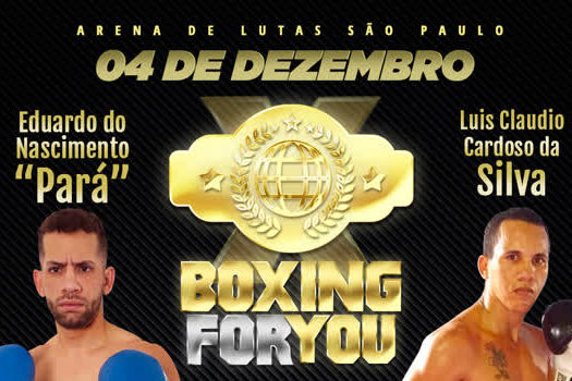 TUDO SOBRE A NOVA ATUALIZAÇÃO DO JOGO DE BOXE SEM TITULO!!! VEIO ESTILO DE  LUTA NOVO?? 