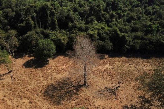 Brasil registra alta na emissão de gases de efeito estufa