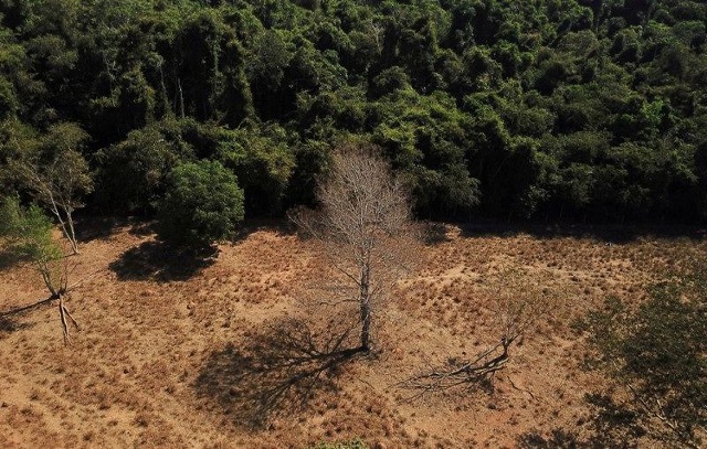 Brasil registra alta na emissão de gases de efeito estufa