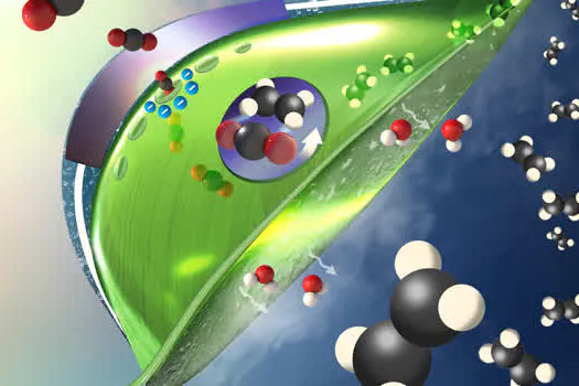 Braskem anuncia estudos para produção de plástico a partir da captura e utilização de CO2