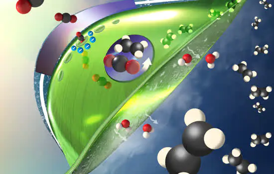 Braskem anuncia estudos para produção de plástico a partir da captura e utilização de CO2