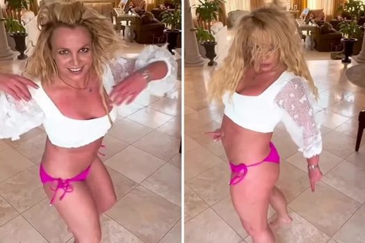 Família acredita que Britney Spears esteja dependente de metanfetamina e cantora rebate