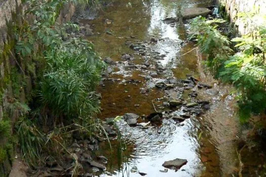 BRK alerta para a importância de ações de preservação do meio ambiente