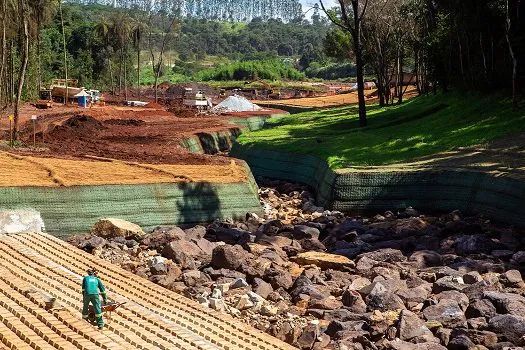 STF decidirá sobre competência para julgar tragédia em Brumadinho