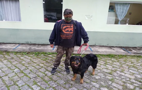 Rottweiler é doado pelo centro de Controle de Zoonoses de Ribeirão Pires