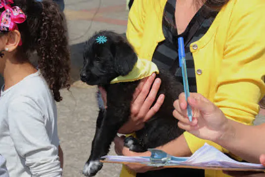 Ribeirão Pires inicia castração gratuita de cães e gatos