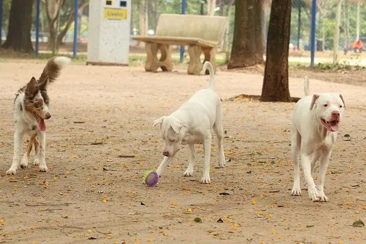 Cosap e DVZ divulgam ações da 1ª Semana Animal SP em duas estações do Metrô