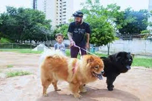 SP: Centros Esportivos onde os pets podem se divertir com seus tutores