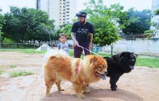 SP: Centros Esportivos onde os pets podem se divertir com seus tutores