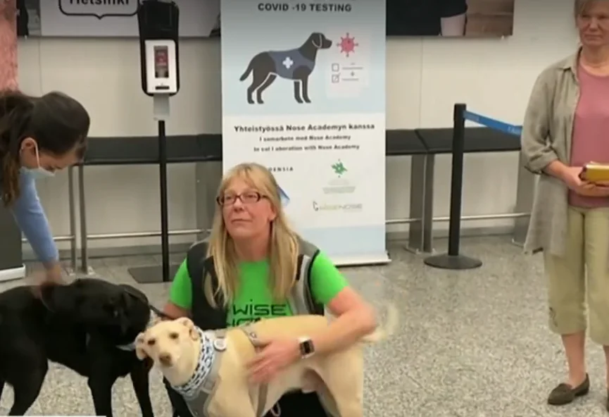 Cães são usados para detectar coronavírus em aeroporto na Finlândia